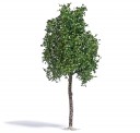 Busch 3792 Platane Sommer 170 mm 