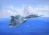 HobbyBoss 81713 SU 27UB Flanker C 
