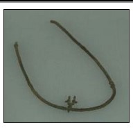 Cal Scale 3057 Governor On Lagged Pipe 