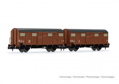 Arnold HN6568 DB Güterwagen-Set 2-tlg. Gmhs 55 Ep.3 