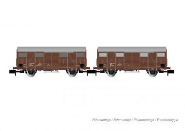 Arnold HN6574 FS Güterwagen-Set 2-tlg. Gs Ep.4 