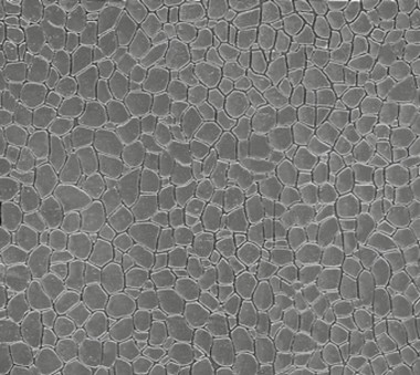 Auhagen 52227 Dekorplatte Naturstein grau 