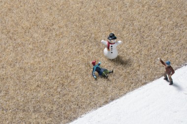 Auhagen 75609 Grasfaser Wintergras 2,5 mm 