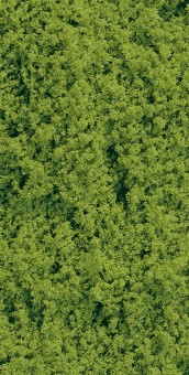 Auhagen 76661 Schaumflocken maigrün fein 