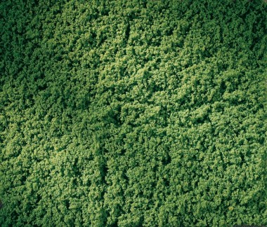 Auhagen 76666 Rollrasen 150x250 mm, hellgrün 