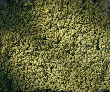 Auhagen 76667 Rollrasen 150x250 mm, maigrün 