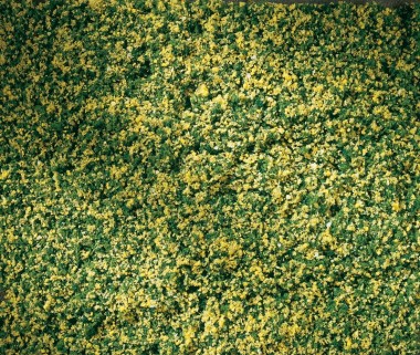 Auhagen 76668 Rollrasen 150x250 mm mit Maiblumen 