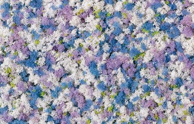 Auhagen 76936 Schaumflocken Kornblumen 