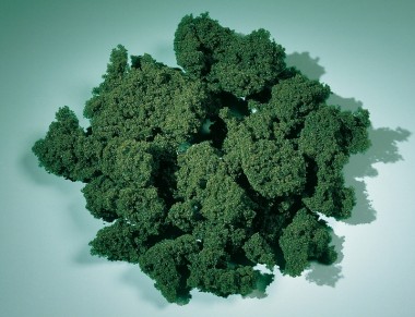 Auhagen 76977 Moosschaum laubgrün mittel 