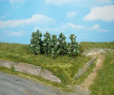 Heki 1172 Birnbäume 