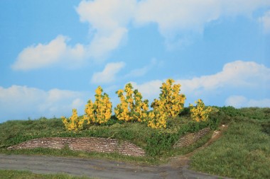 Heki 11800 6 Forsythiensträucher 3-6 cm 