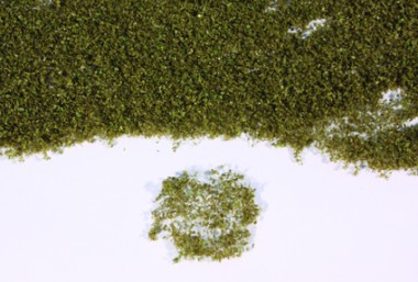 Heki 15104 HEKI realistic flor braun, 28x14 cm 