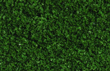 Heki 15153 HEKI realistic laub dunkelgrün, 200 ml 