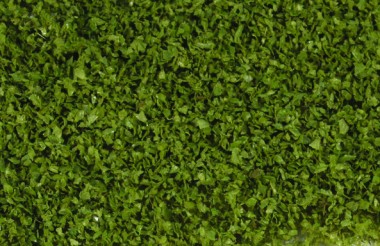 Heki 15155 HEKI realistic laub oliv, 200 ml 