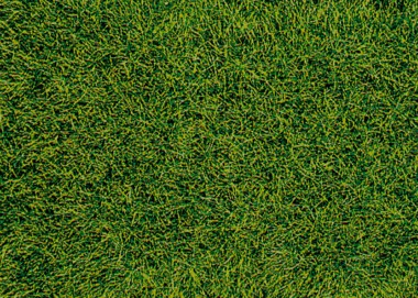 Heki 1573 Wildgras Moorboden 