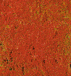 Heki 1588 Wiesengras Blumendekor rot 