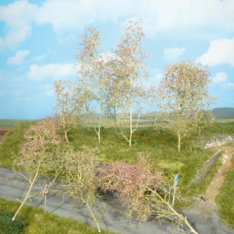 Heki 1638 Bäume Seemoos natur, 20 St. 