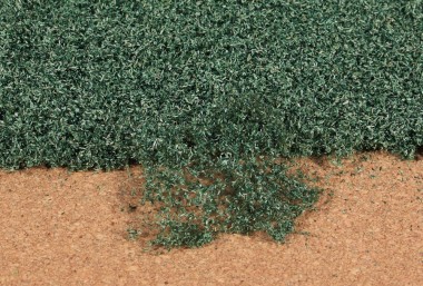 Heki 1679 Blätterflor weidengrün 