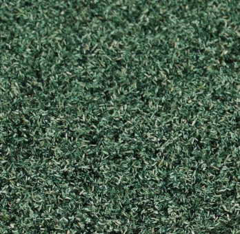 Heki 1689 Blattlaub weidengrün 200 ml 