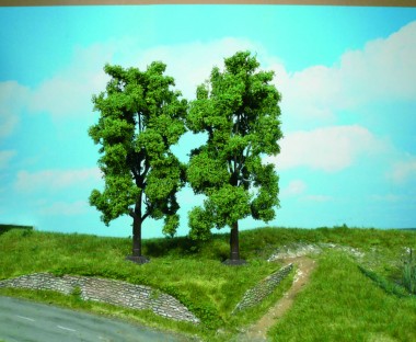 Heki 1707 Oregon Esche 19 cm 