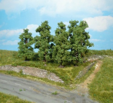 Heki 1732 4 Obstbäume 8 cm 