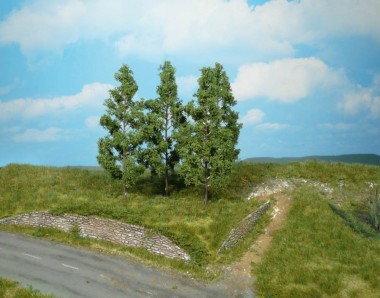 Heki 1737 3 Pappeln zum Stecken 13 cm 