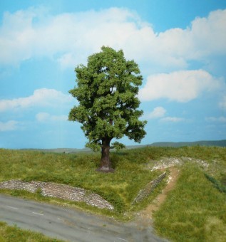 Heki 1740 1 Eiche 18 cm 