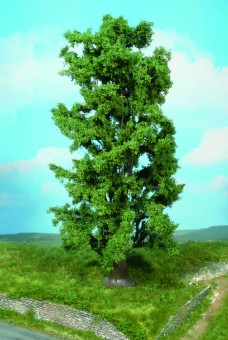 Heki 1742 1 Laubbaum Felsenahorn 30 cm 