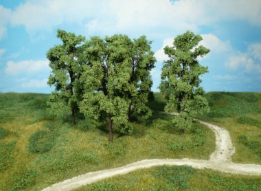 Heki 1763 Laubbäume 