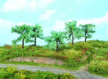 Heki 1773 5 Olivenbäume 