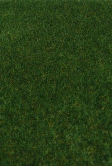 Heki 1862 kreativ-Wildgras dunkelgrün 45x17 cm 