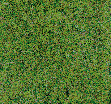 Heki 1871 2 Wildgrasmatte Waldboden 40x25 cm 