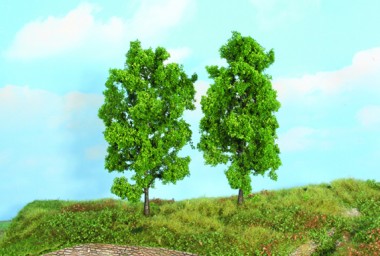 Heki 19103 2  Buchen 18 cm 