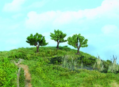 Heki 1911 3 Kopfweiden 