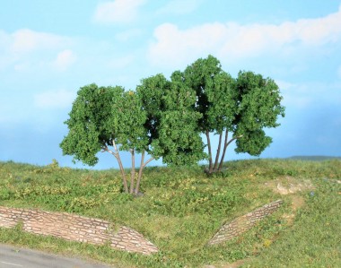 Heki 19113 2 Hainbuchen 9 cm 