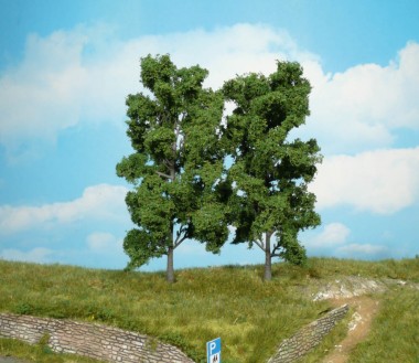 Heki 1912 2 Buchen 18 cm 