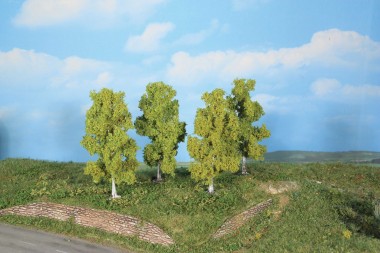 Heki 19120 4 Birken 11 cm 