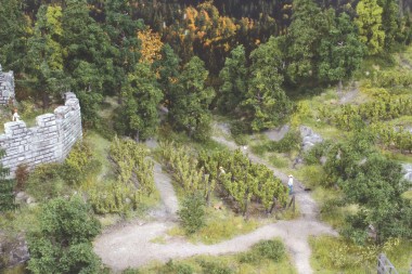 Heki 19136 36 Rebstöcke ca. 2,5 cm incl.Spannpfost 