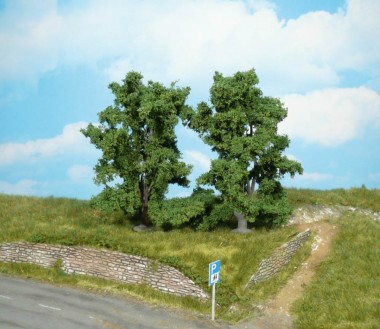 Heki 1914 2 Ebereschen 14 cm 