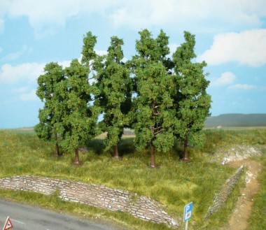 Heki 1925 10 Buchen 11-13 cm 