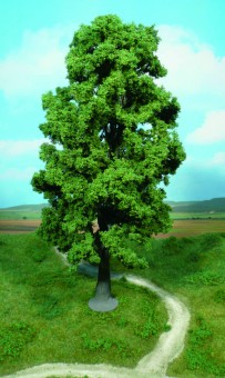 Heki 1943 1 Bergahorn 35 cm 