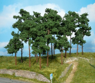 Heki 1953 9 Kiefern 10-16 cm 