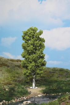 Heki 1984 1 Birke 20 cm 