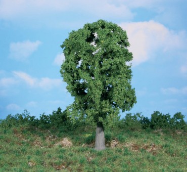 Heki 1987 1 Eiche 20 cm 