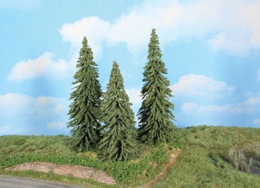 Heki 21800 3 Wetterfichten 18-22 cm 