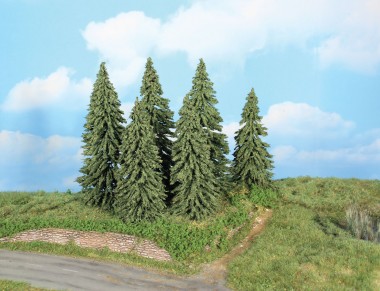 Heki 21801 6 Wetterfichten  14-18 cm 