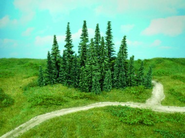 Heki 2232 Tannen, 24 St. 