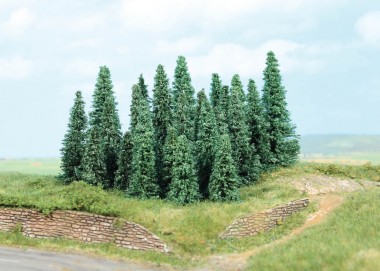 Heki 2236 20 Silbertannen 