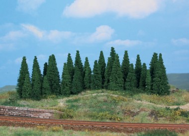 Heki 2240 Tannen, 30 St. 