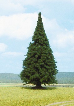 Heki 2340 Tanne 20 cm 